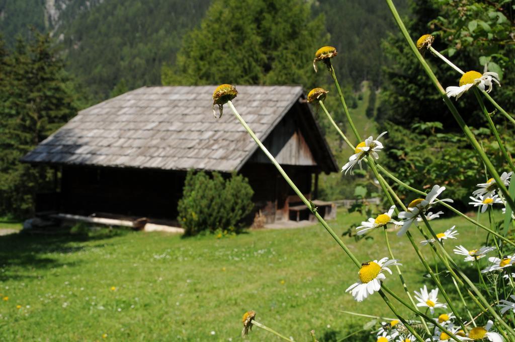 Chalet Wildgall Anterselva di Mezzo Habitación foto